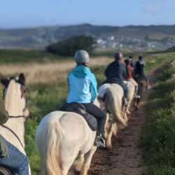 A group horse trekking in North Devon