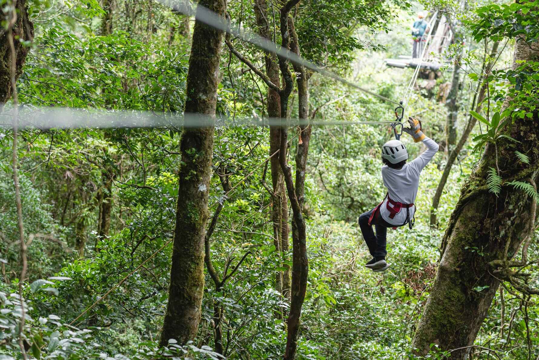 Image showing a woman ziplining in a forest in Costa Rica
