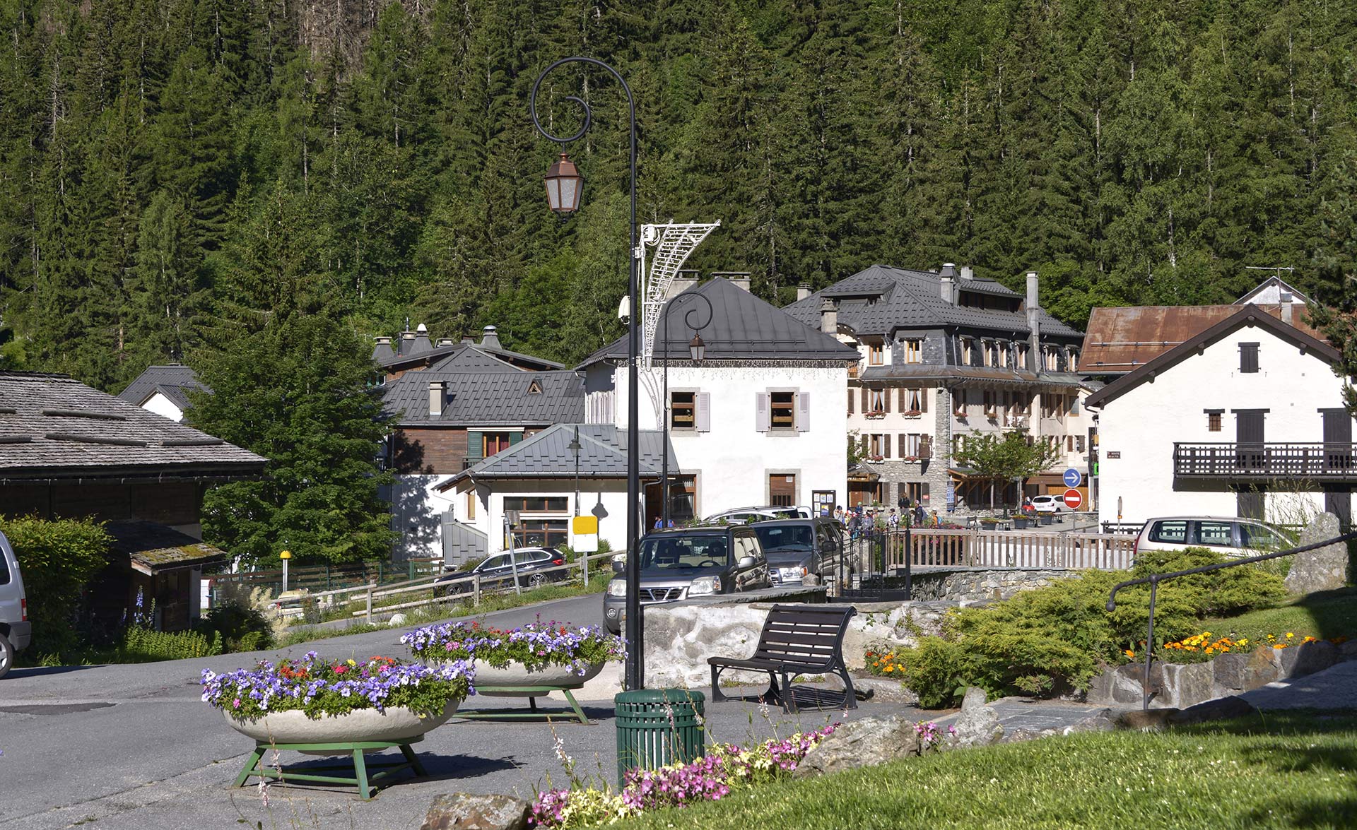 image of argentiere in bloom